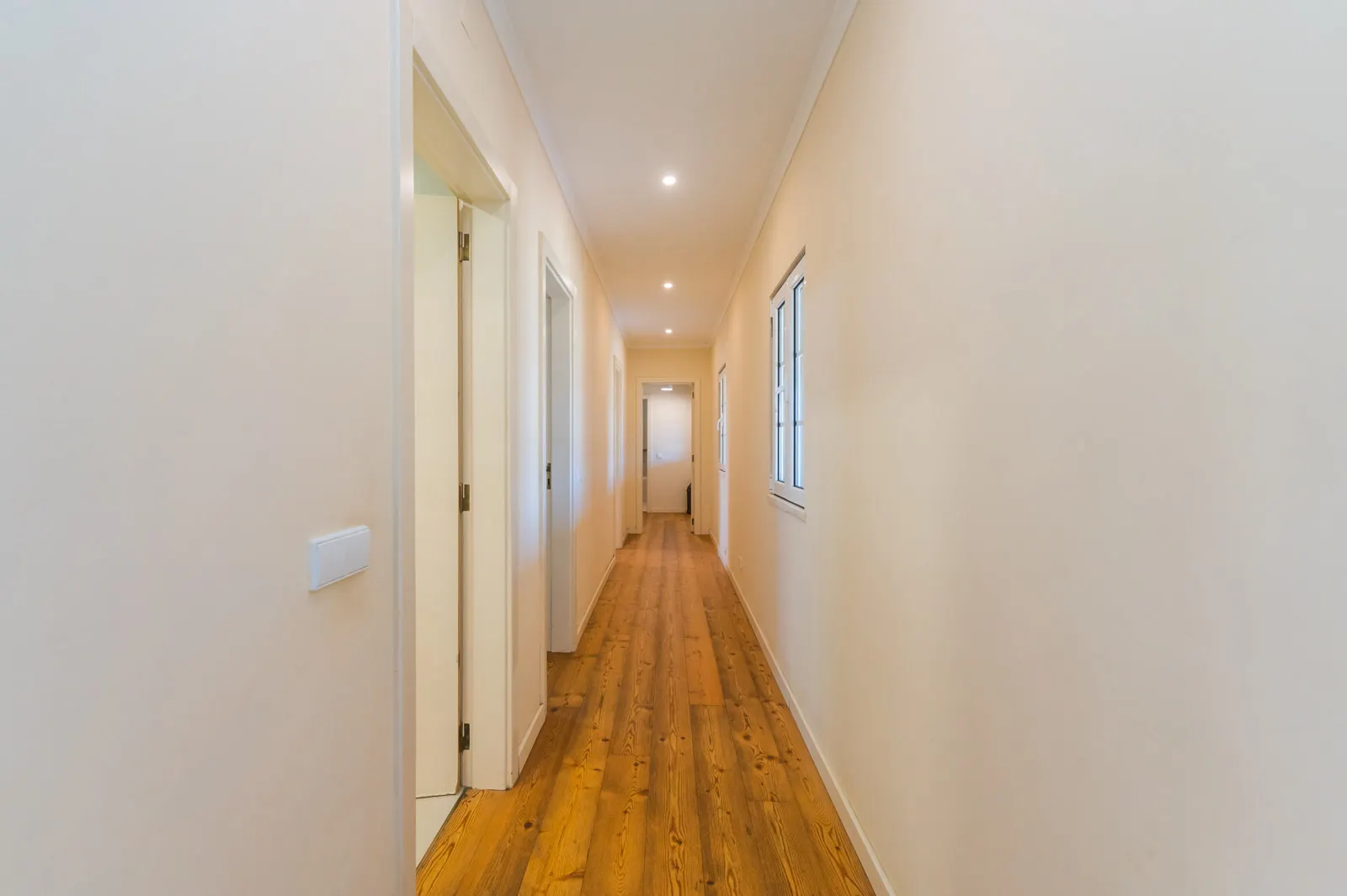 Quinta de Charme com 2,5 Hectares — imagem 7